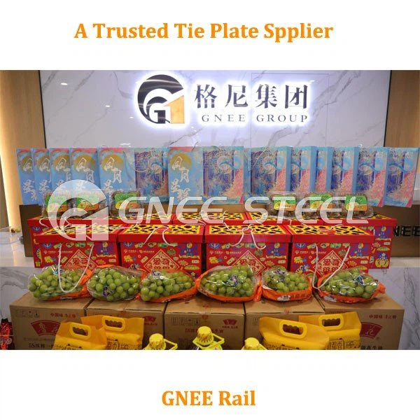 Railway Hook Twin Tie Plates GNEE