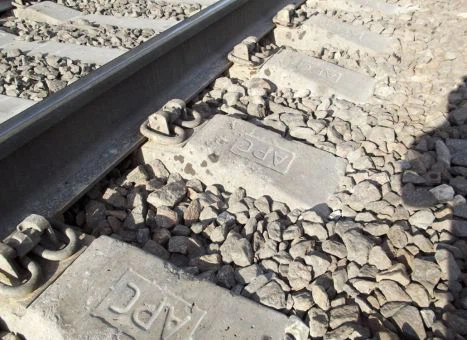 ELASTIC CLIP ELASTIC CLIP